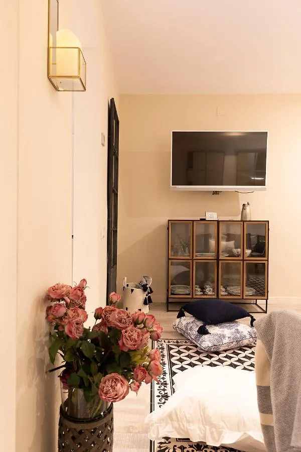 Chic Apartments Barcelona